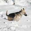 2010-02-11 (023)
